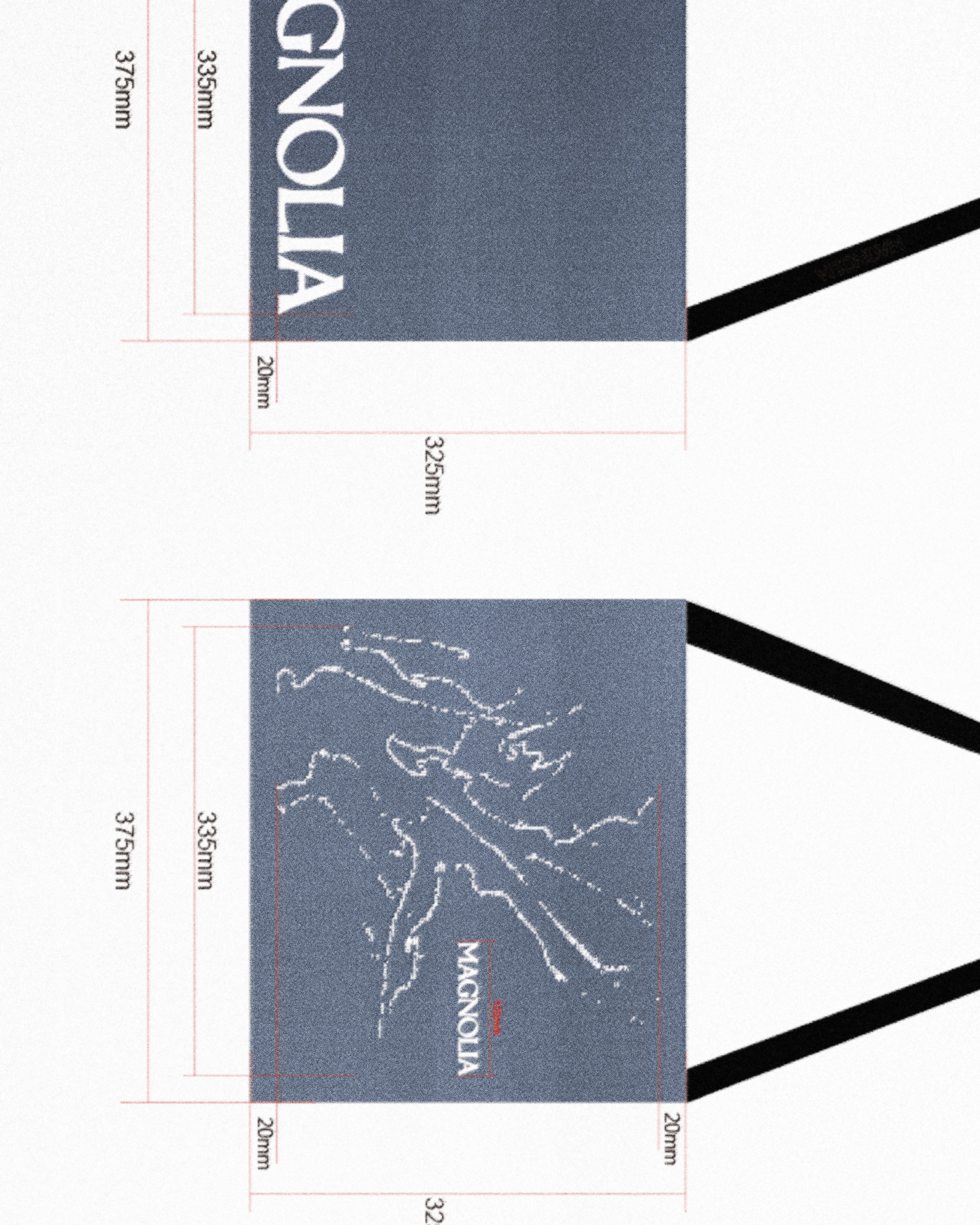 JOURNEY MUSETTE